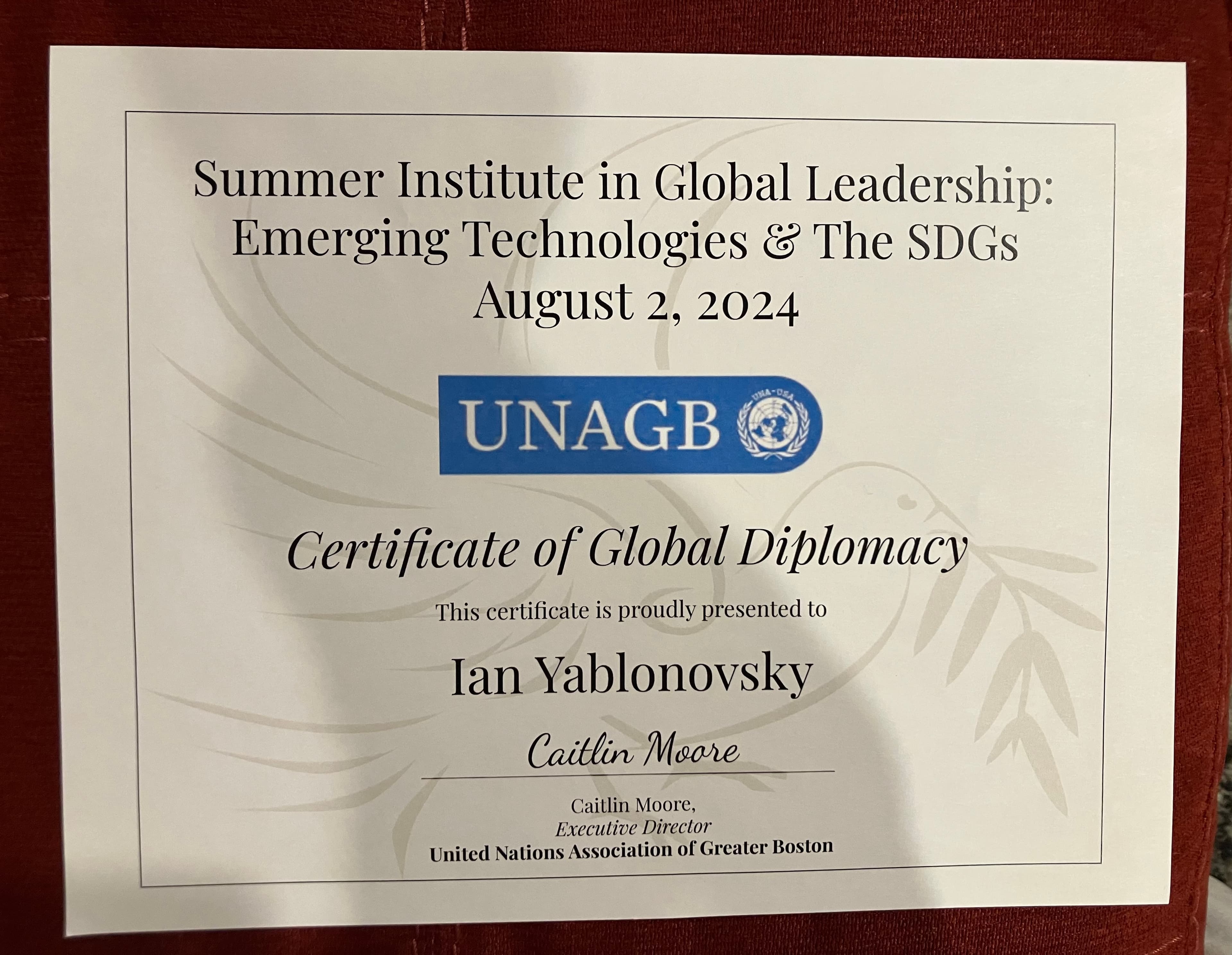 UNAGB Summer Institute Certificate